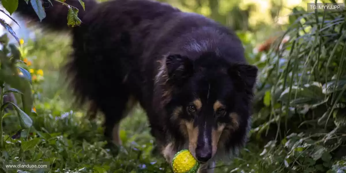 🎁 装备你的热爱,从这里开始!👟